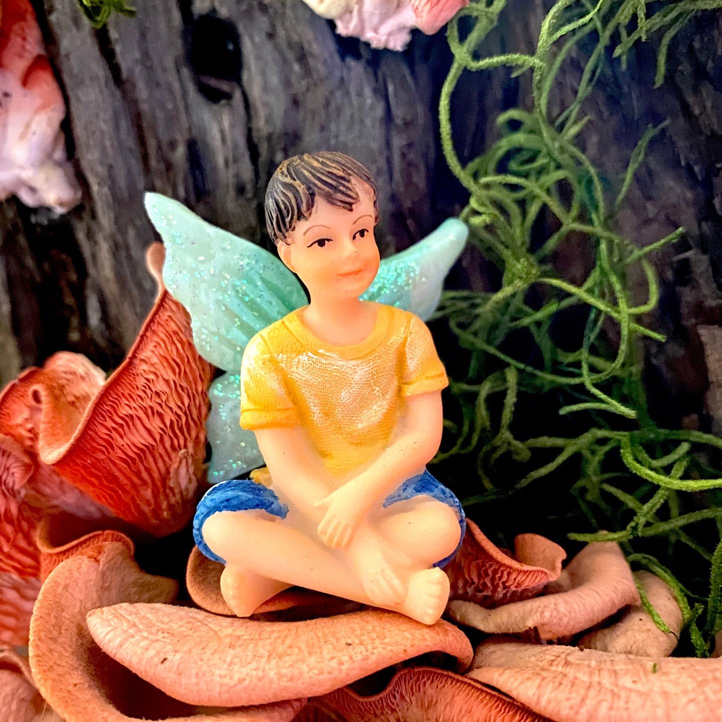 Fairy Oliver, Australian Fairy Gardens, Fairies