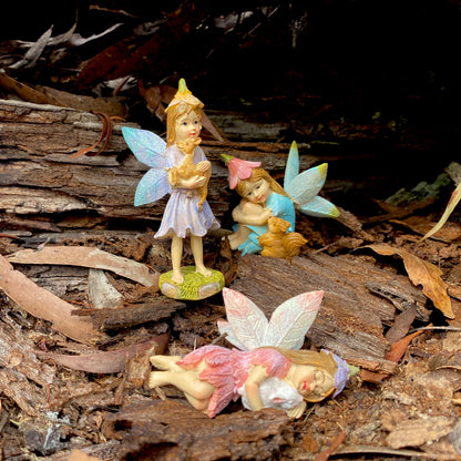 Forest Fairies, Australian Fairy Gardens, Fairies