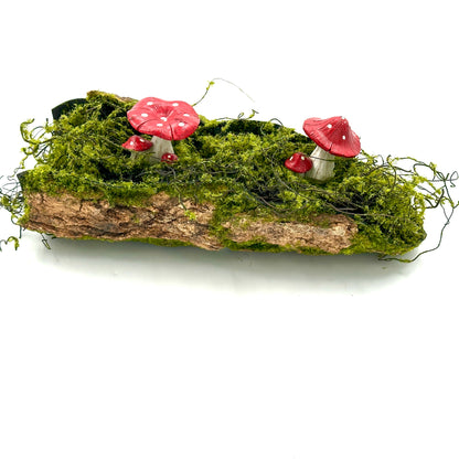 Mushrooms On A Mossy Log