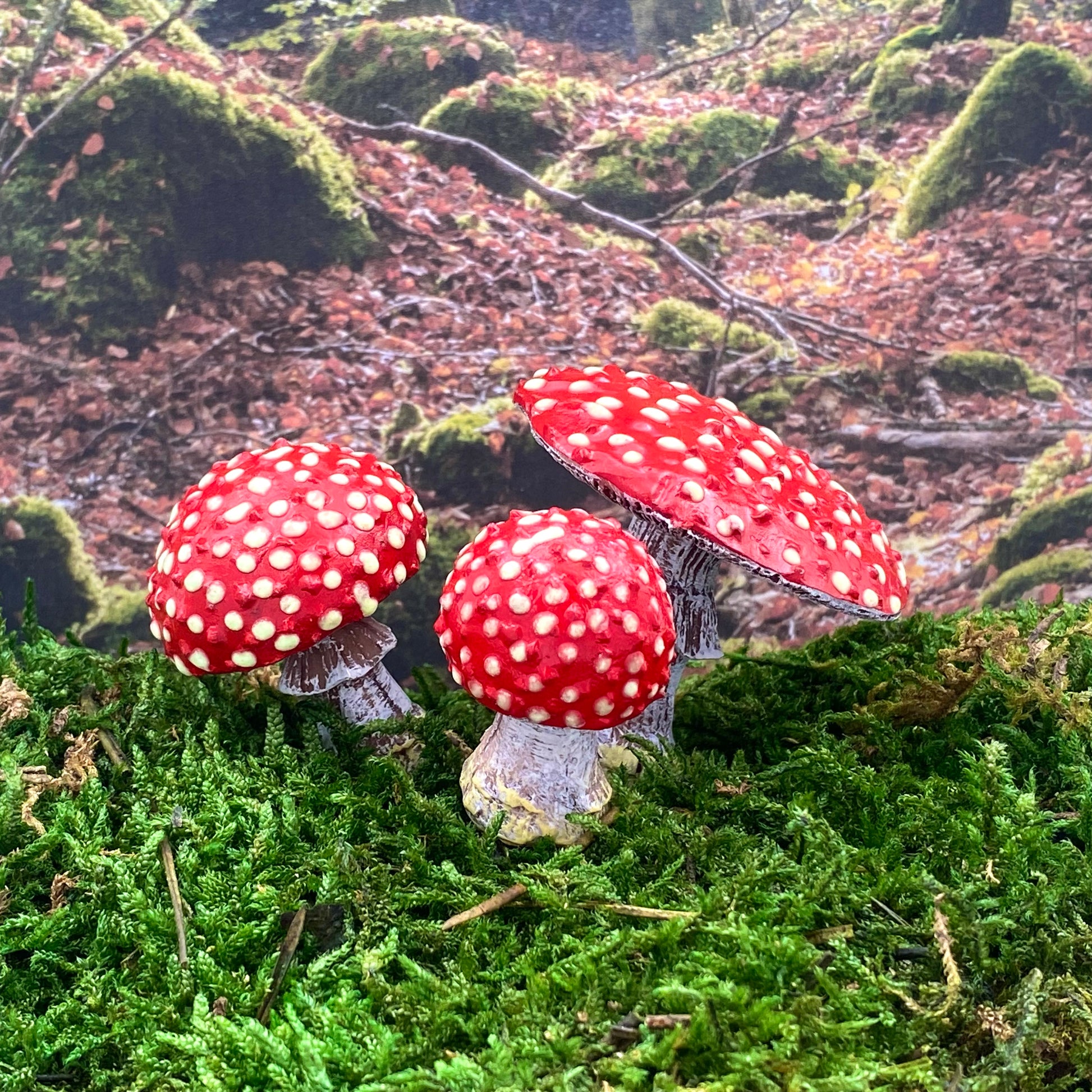 Glow In The Dark Forest Amanita Mushrooms, Australian Fairy Gardens, Mushrooms