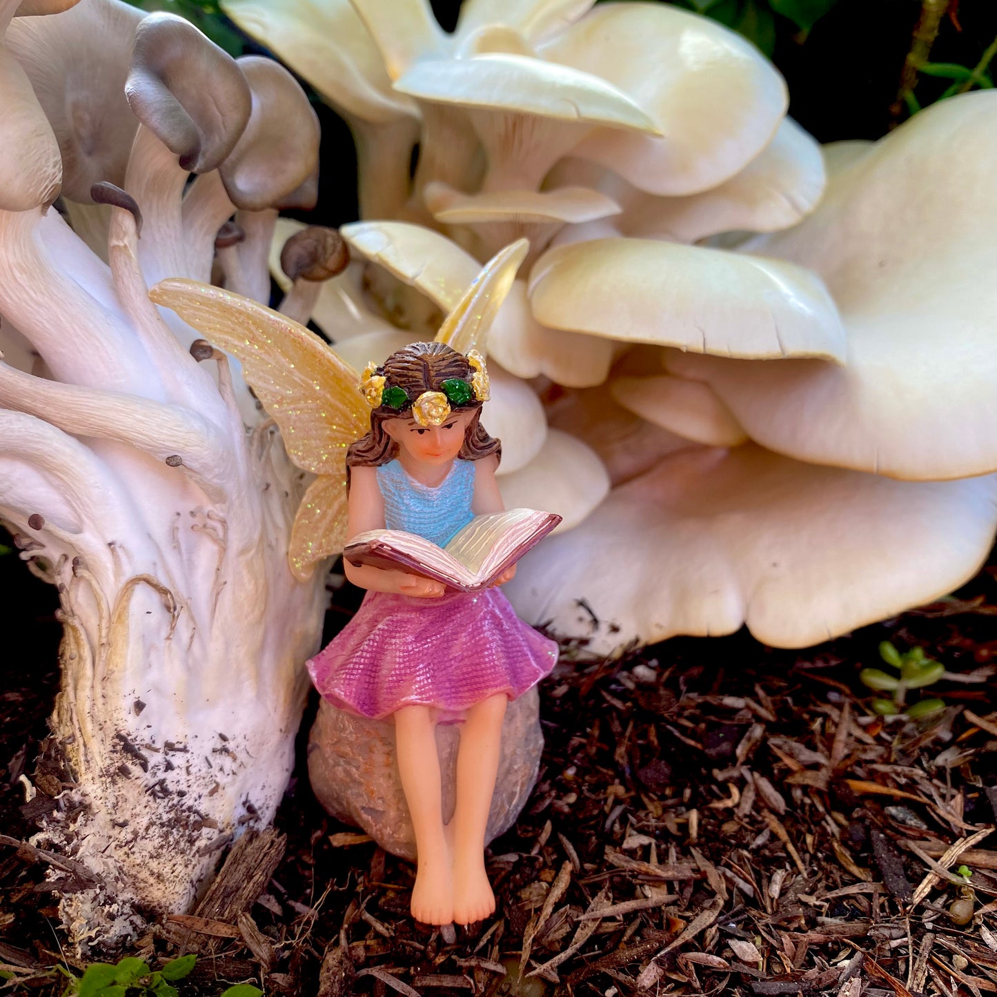 Imogen The Reading Fairy, Australian Fairy Gardens, Fairies