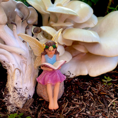 Imogen The Reading Fairy, Australian Fairy Gardens, Fairies