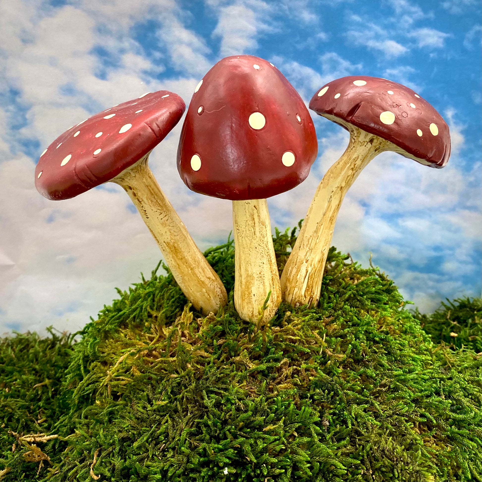 Large Red And Brown Mushrooms, Australia Fairy Gardens, Mushrooms