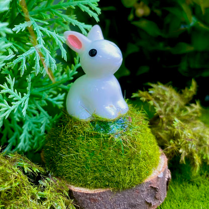 Meadow Bunnies