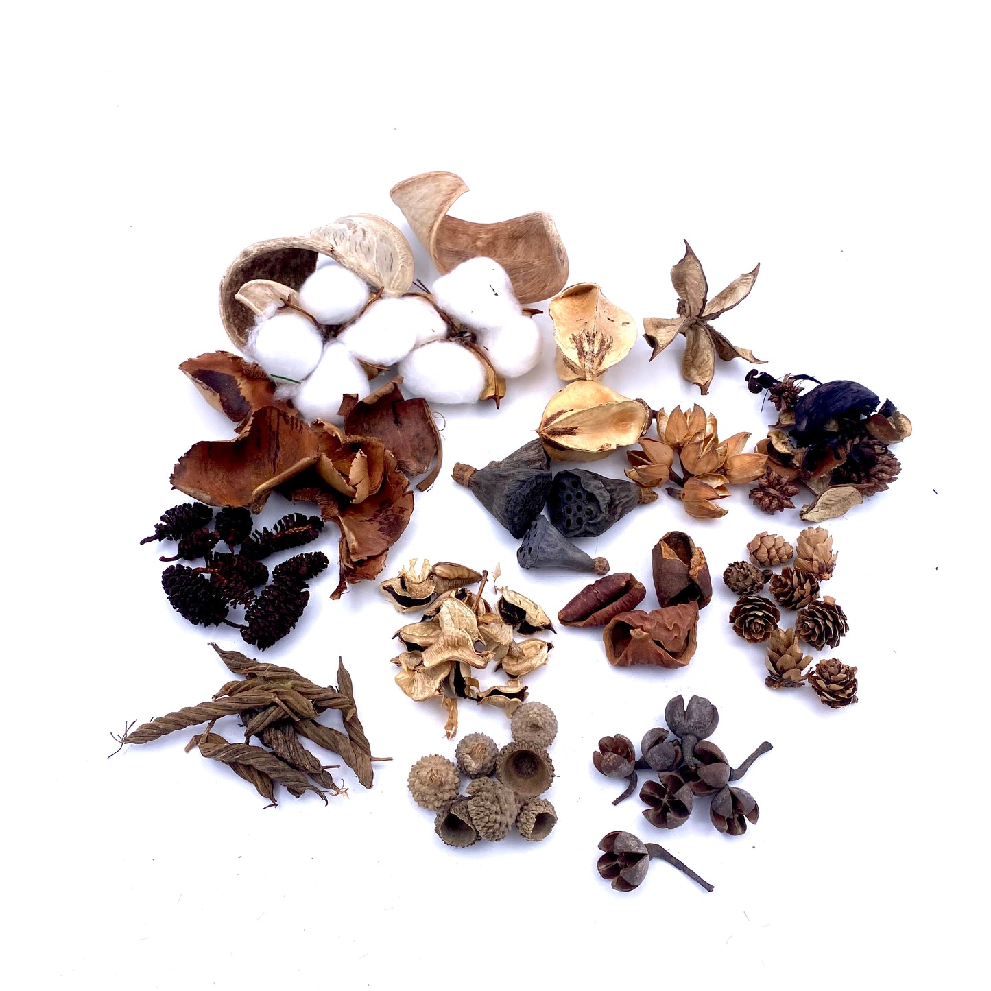 Mega Seed Pack and Nut Pack (All Natural), Australian Fairy Garden Products, Fairies
