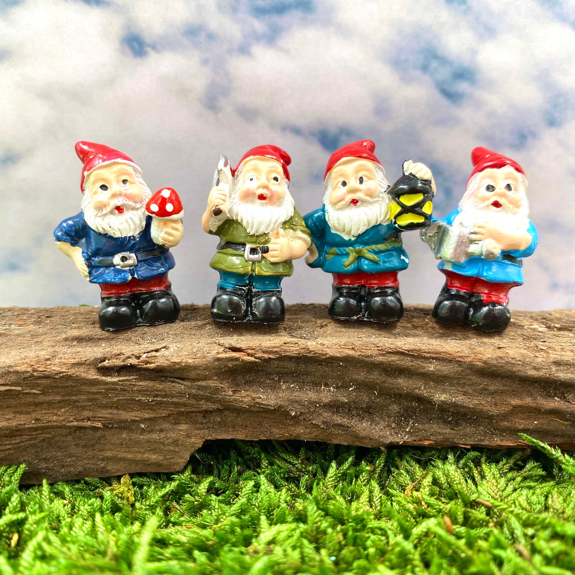 Miniature Garden Gnomes (Set), Australian Fairy Garden Products 