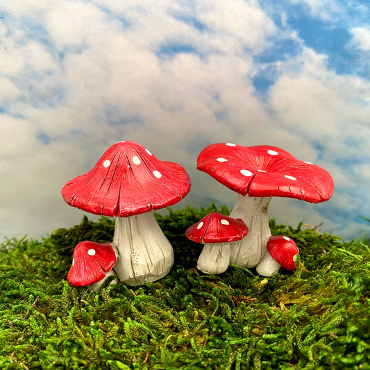 Red & White Twin Mushrooms, Australian Fairy Gardens, Mushrooms