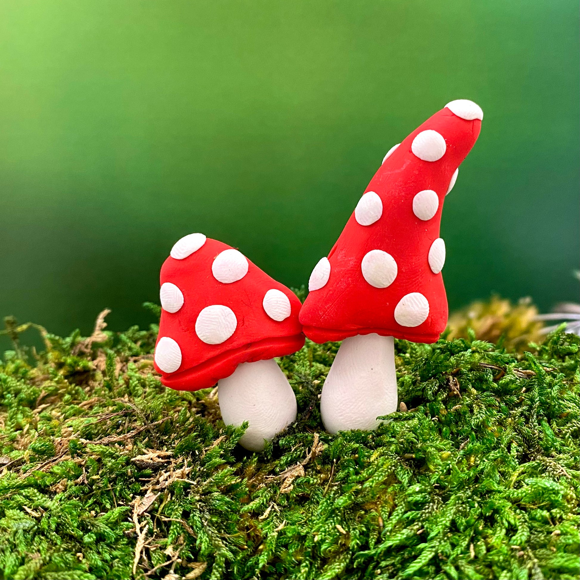 Red and White whimsical Mushrooms, Australian Fairy Gardens, Mushrooms