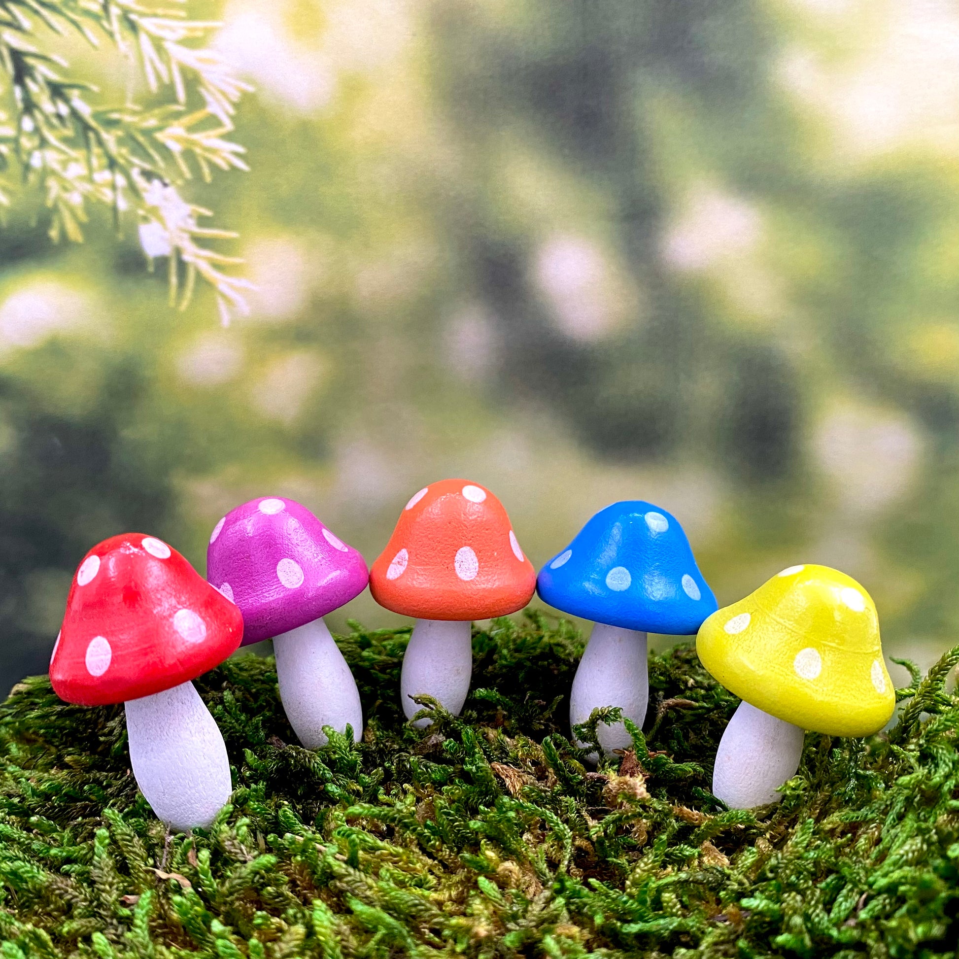 Wooden Bright Fairy Garden Mushrooms, Australian Fairy Gardens, Mushrooms
