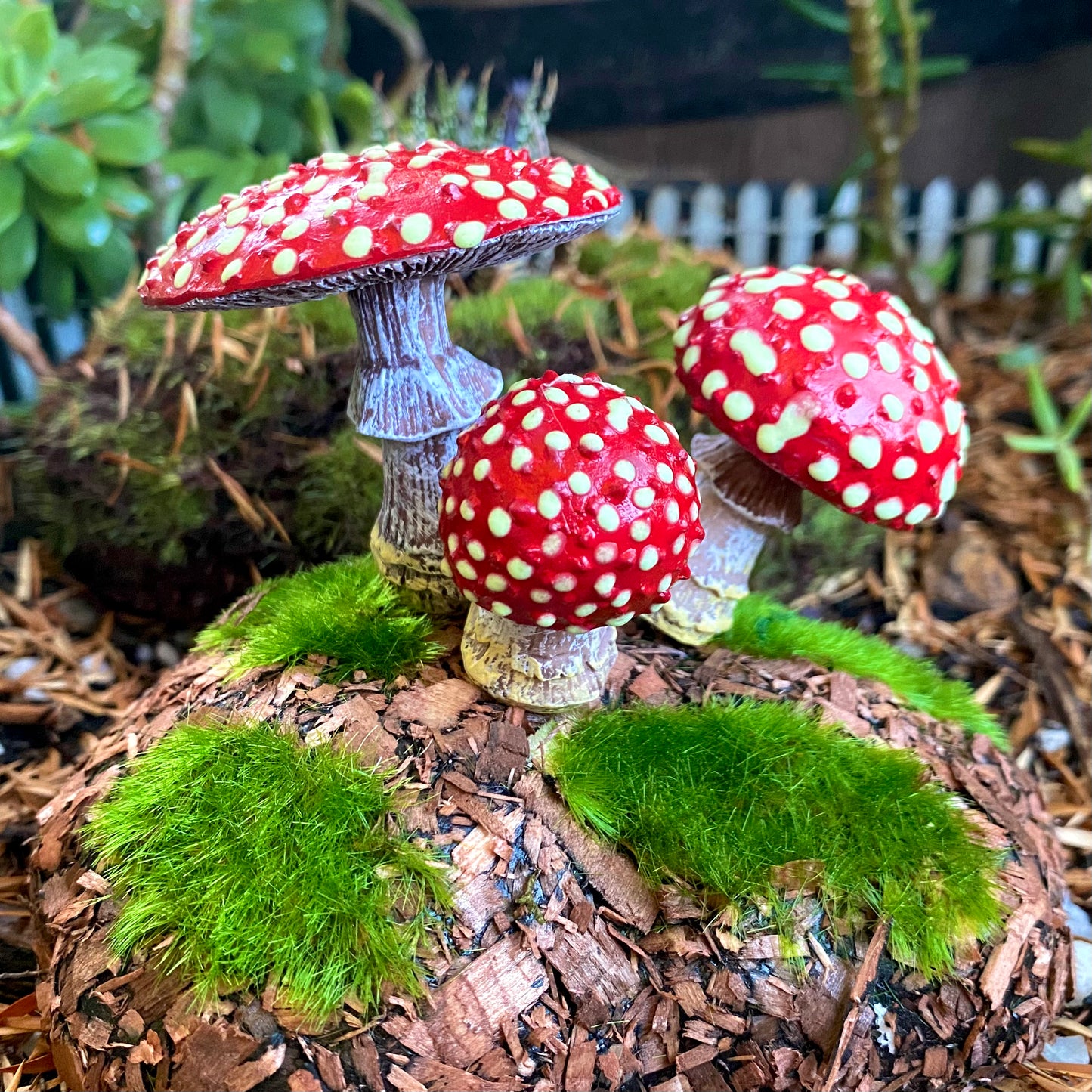 Glow In The Dark Forest Amanita Mushrooms