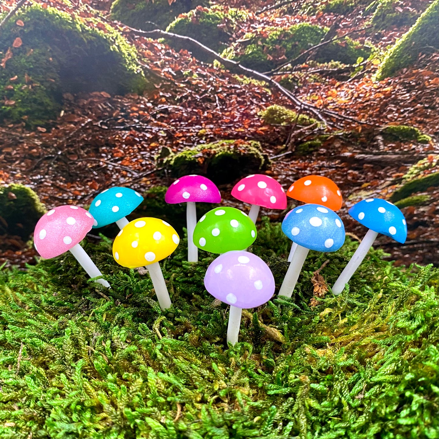 Button Top Mini Bright Fairy Garden Mushrooms (set of 11)