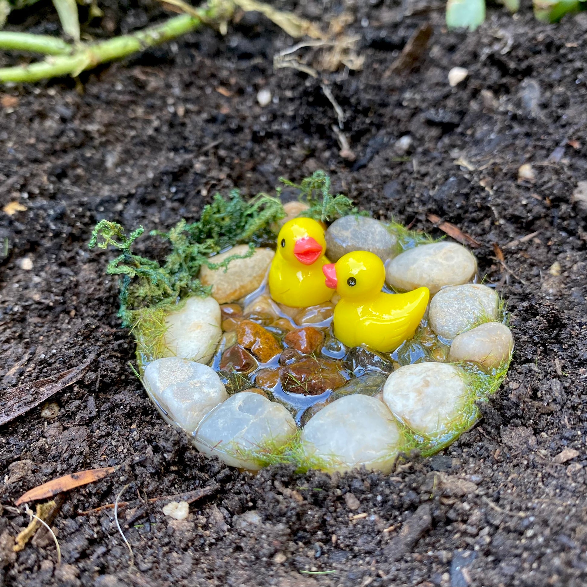 Miniature Ducks In A Pond – Steph the Fairy Maker