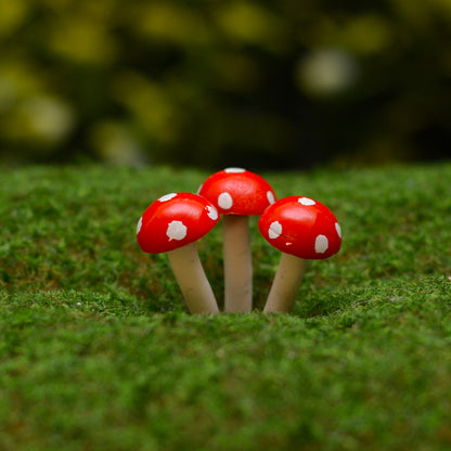Fairy Garden Mini Terrarium Mushrooms from Steph the Fairy Maker