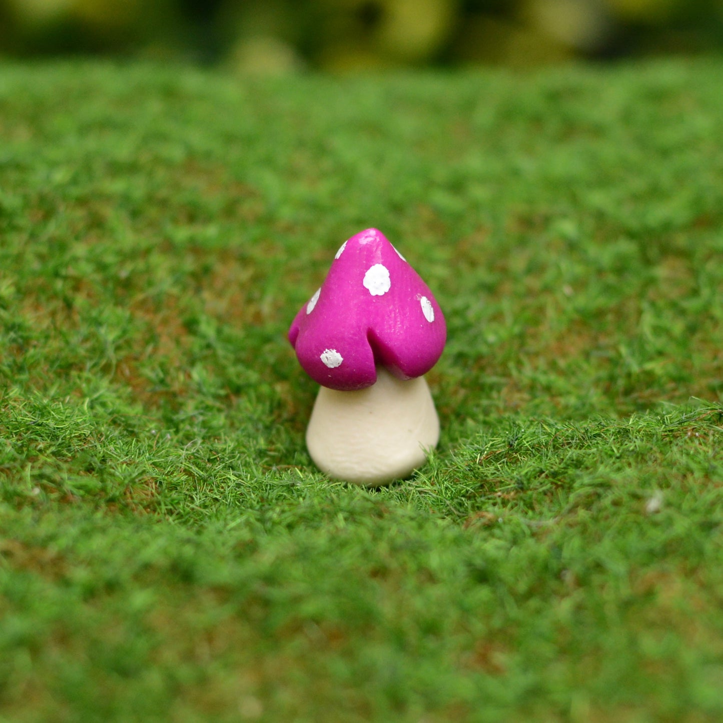 Fairy Garden Mushrooms (Small Squats)