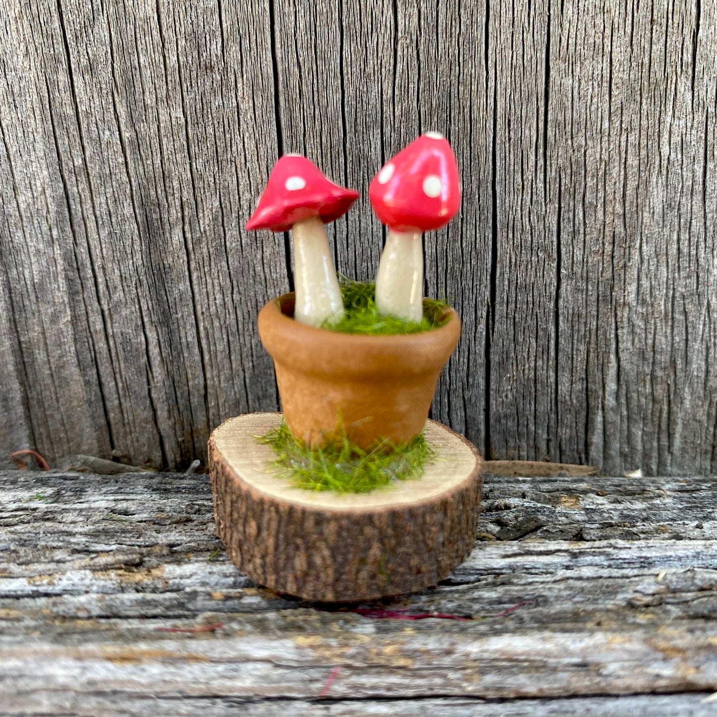 Fairy Garden Miniature Pot And Mushrooms