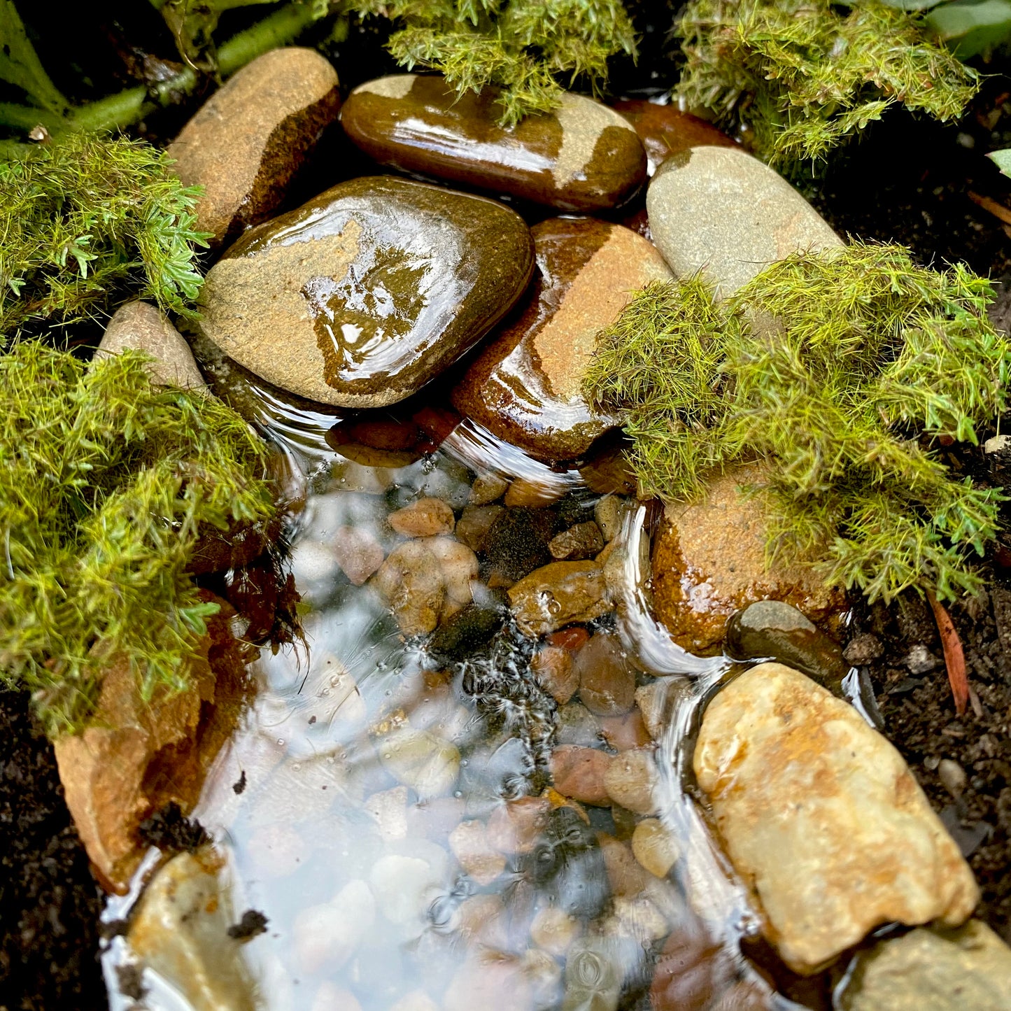 Fairy Garden Instant River