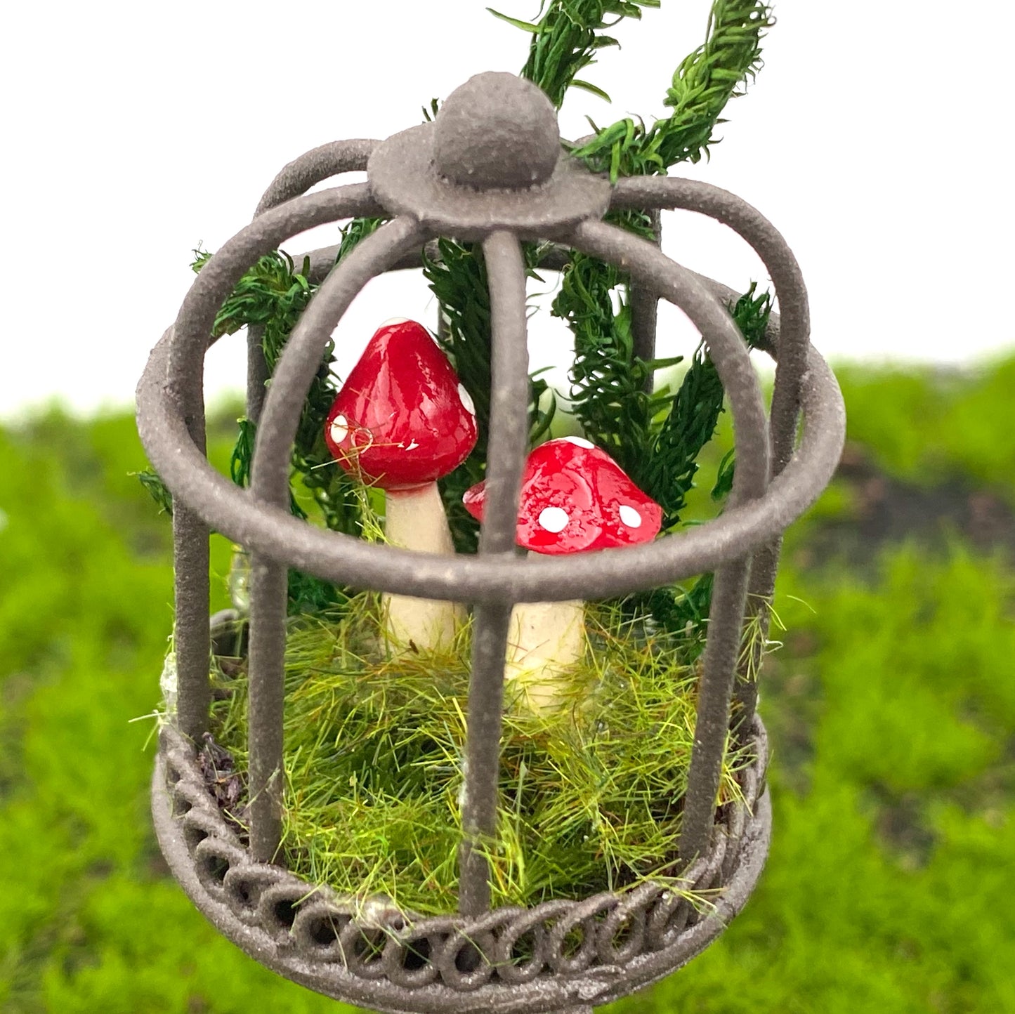 Fairy Garden Mini Bird Cage Terrarium