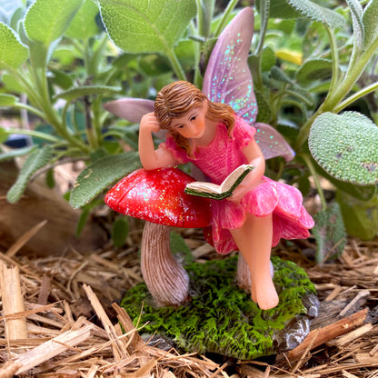 Amelia Reading Fairy, Australian fairy gardens, fairy garden products