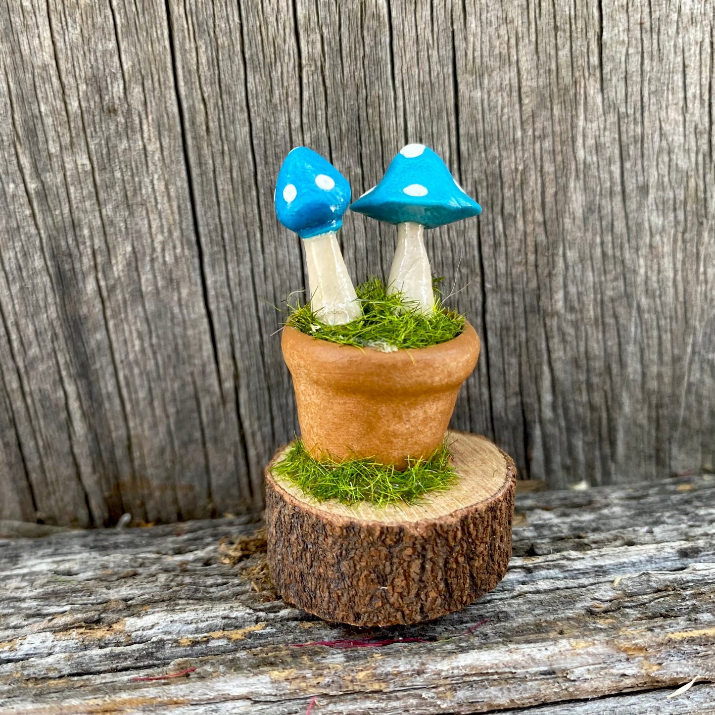 Fairy Garden Miniature Pot And Mushrooms