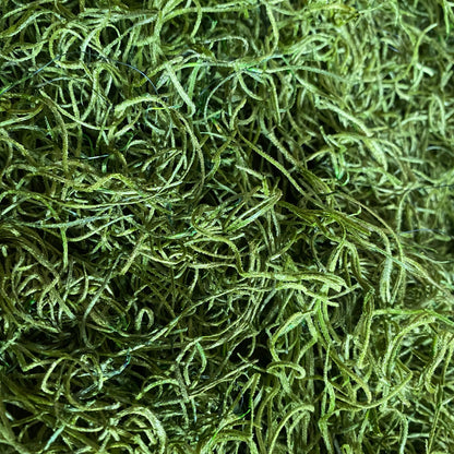 Preserved Spanish Moss