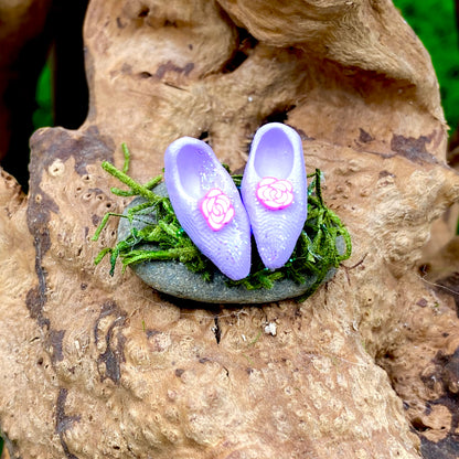 Magical Fairy Shoes