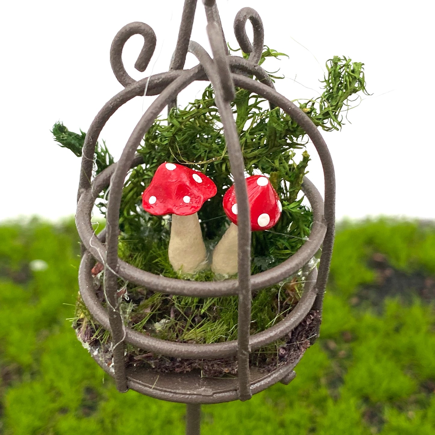 Fairy Garden Mini Bird Cage Terrarium