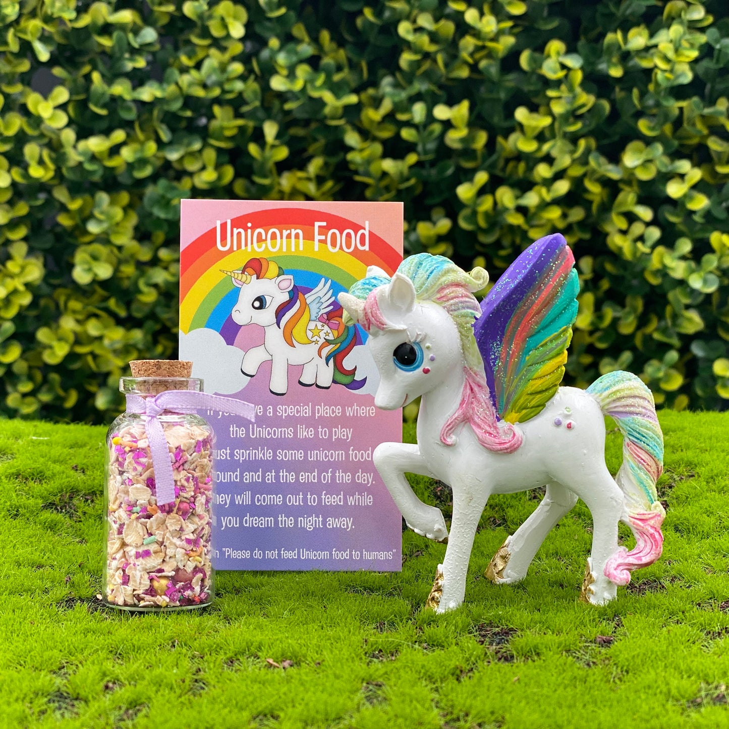 Fairy Garden Rainbow Unicorn Set
