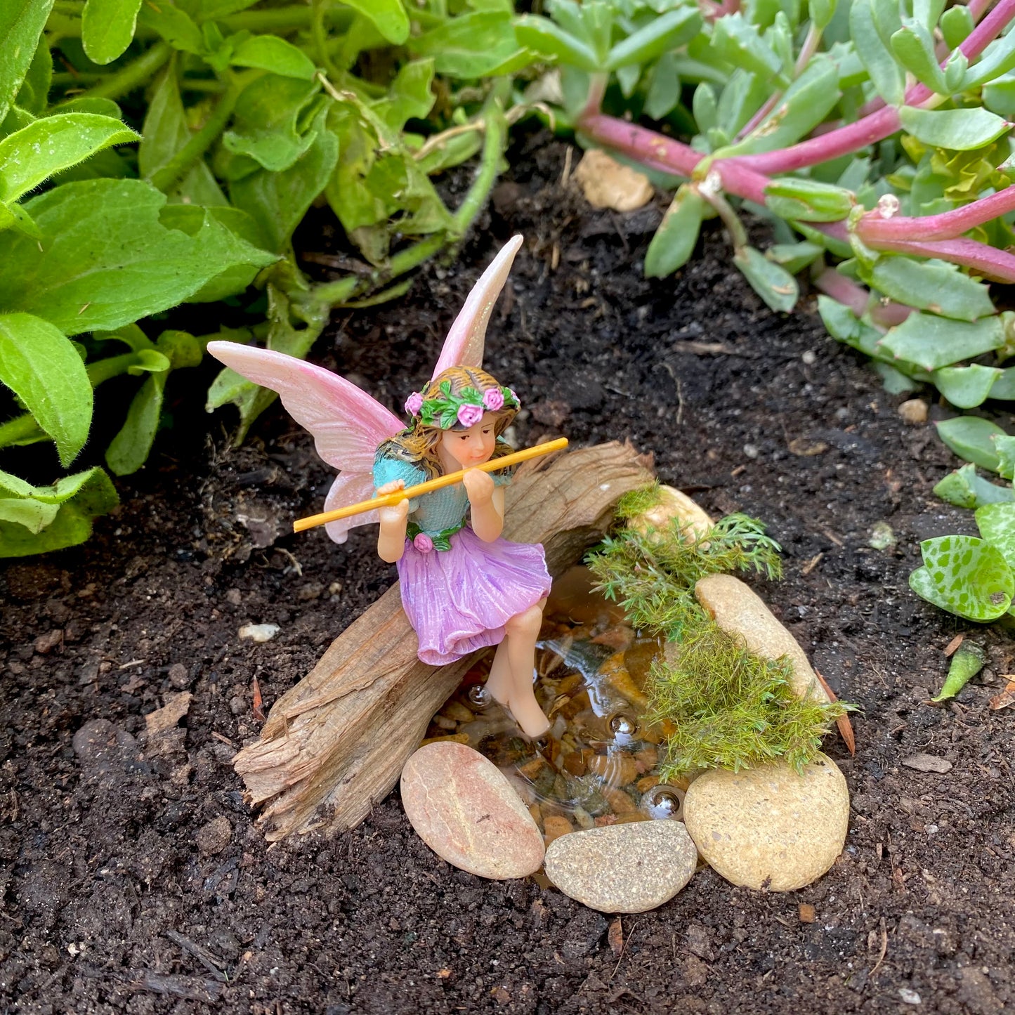 Fairy Melody In A Garden Pond