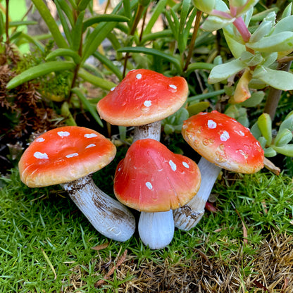 Fairy Garden Amanita Mushrooms