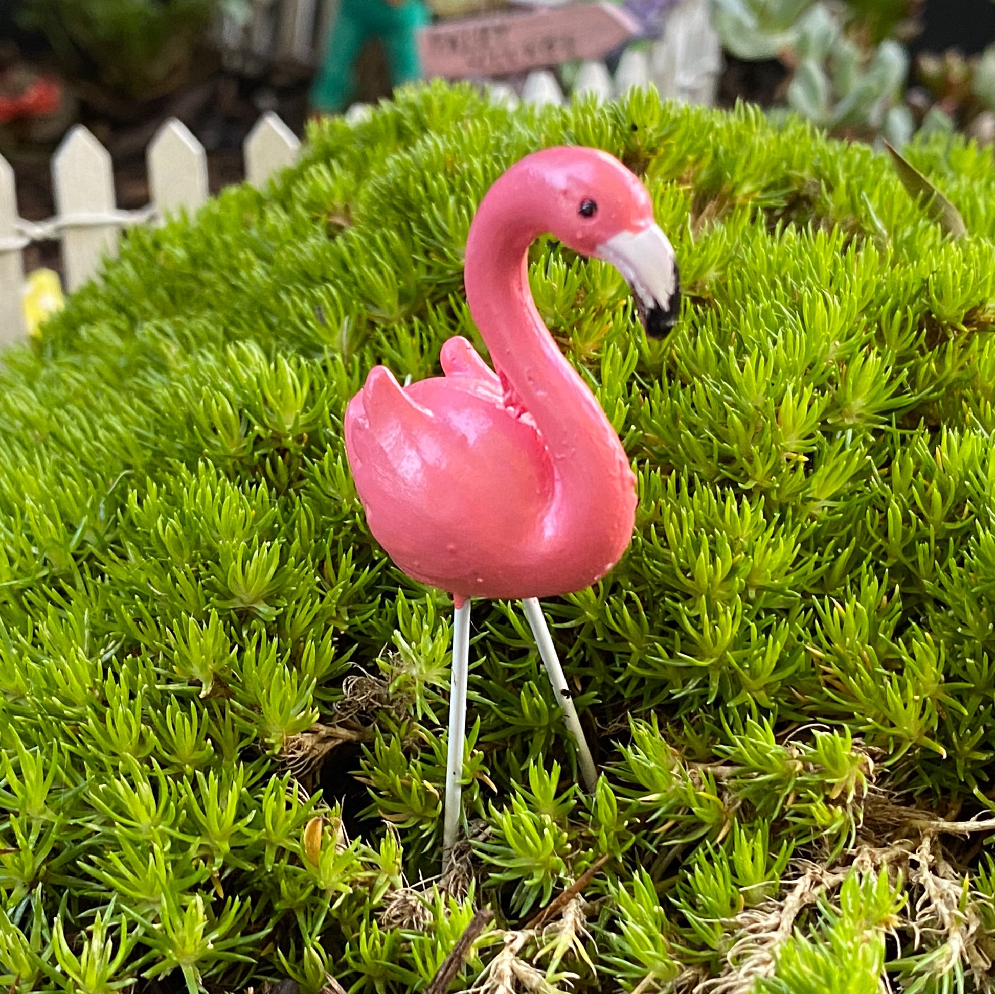 Fairy Garden Flamingo