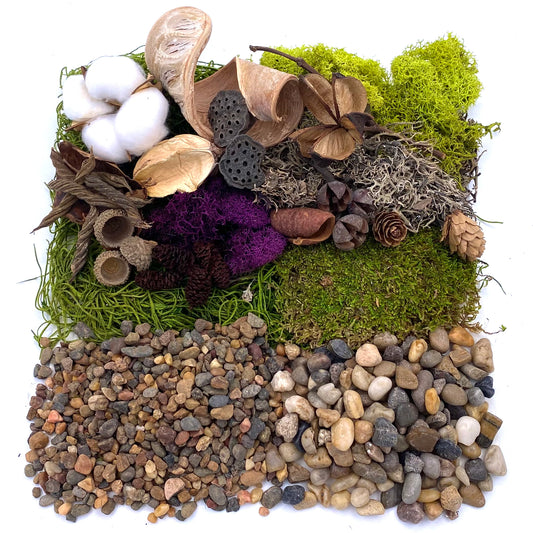Moss Pack All Natural (Fairy Garden Product)