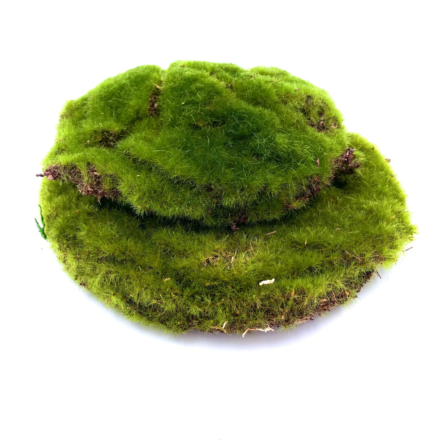Moss Pack Fairy Garden Product (Forest)