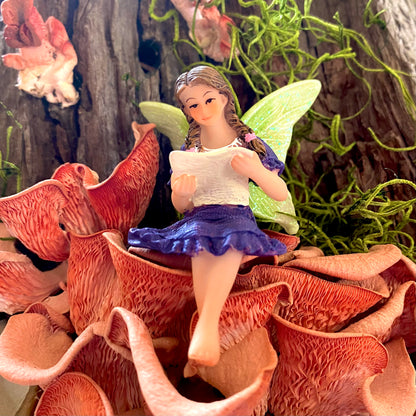 Fairy Grace Reading A Letter