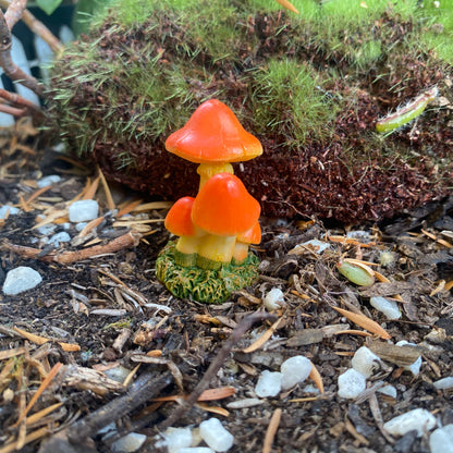Pointy Top Mushroom Clusters