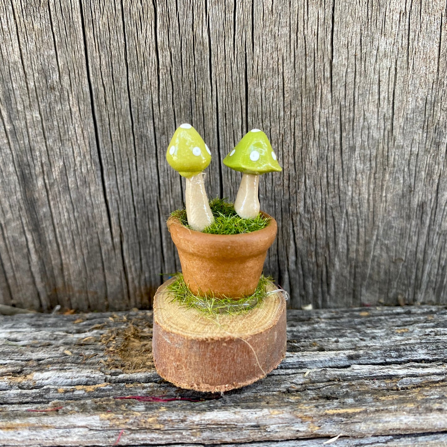 Fairy Garden Miniature Pot And Mushrooms