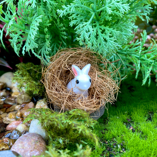 Bunnies In A Burrow