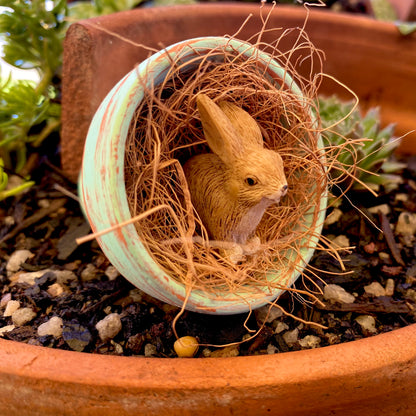 Bunny In A Pot