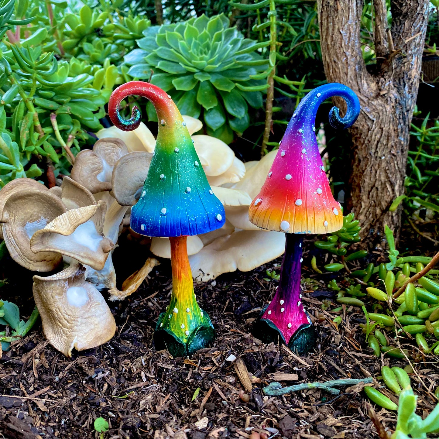 Large Fantasy Mushrooms
