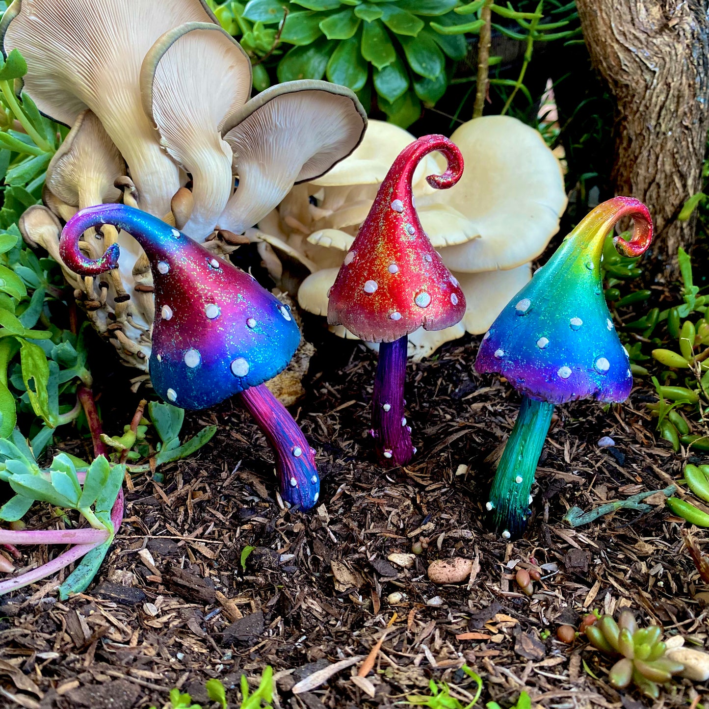 Large Whimsical Mushrooms