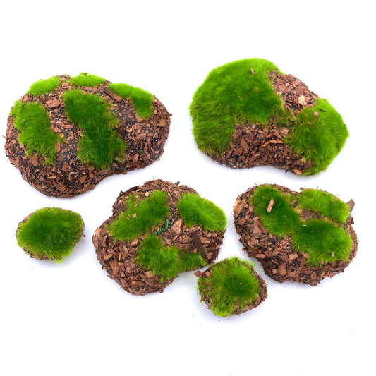 Artificial Moss Rock Pack, Australian Fairy Garden Products, Fairies