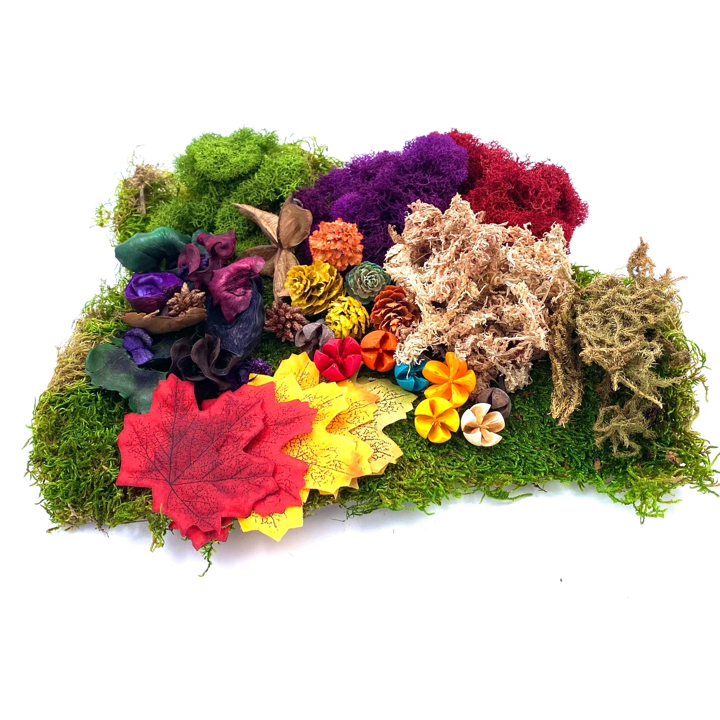 Moss Pack Autumn (Fairy Garden Product)