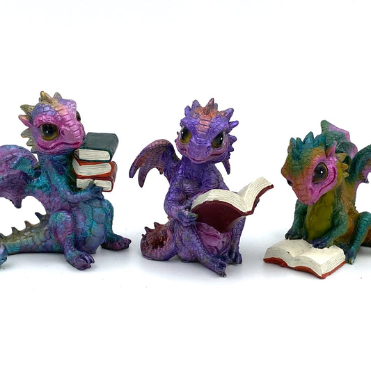 Fairy Garden Reading Dragons