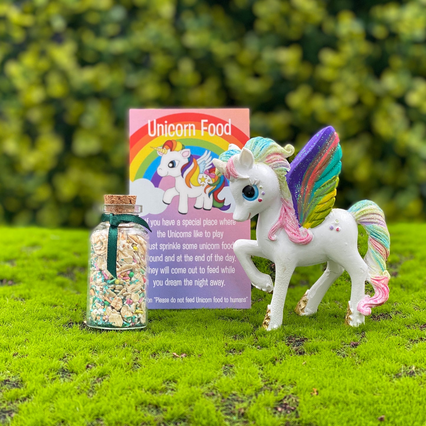 Fairy Garden Rainbow Unicorn Set