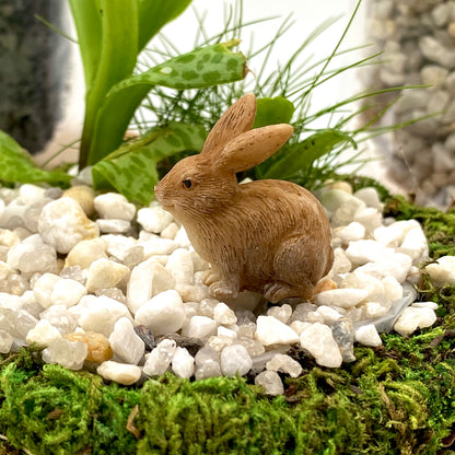 Mini Moss Pot (With A Bunny)
