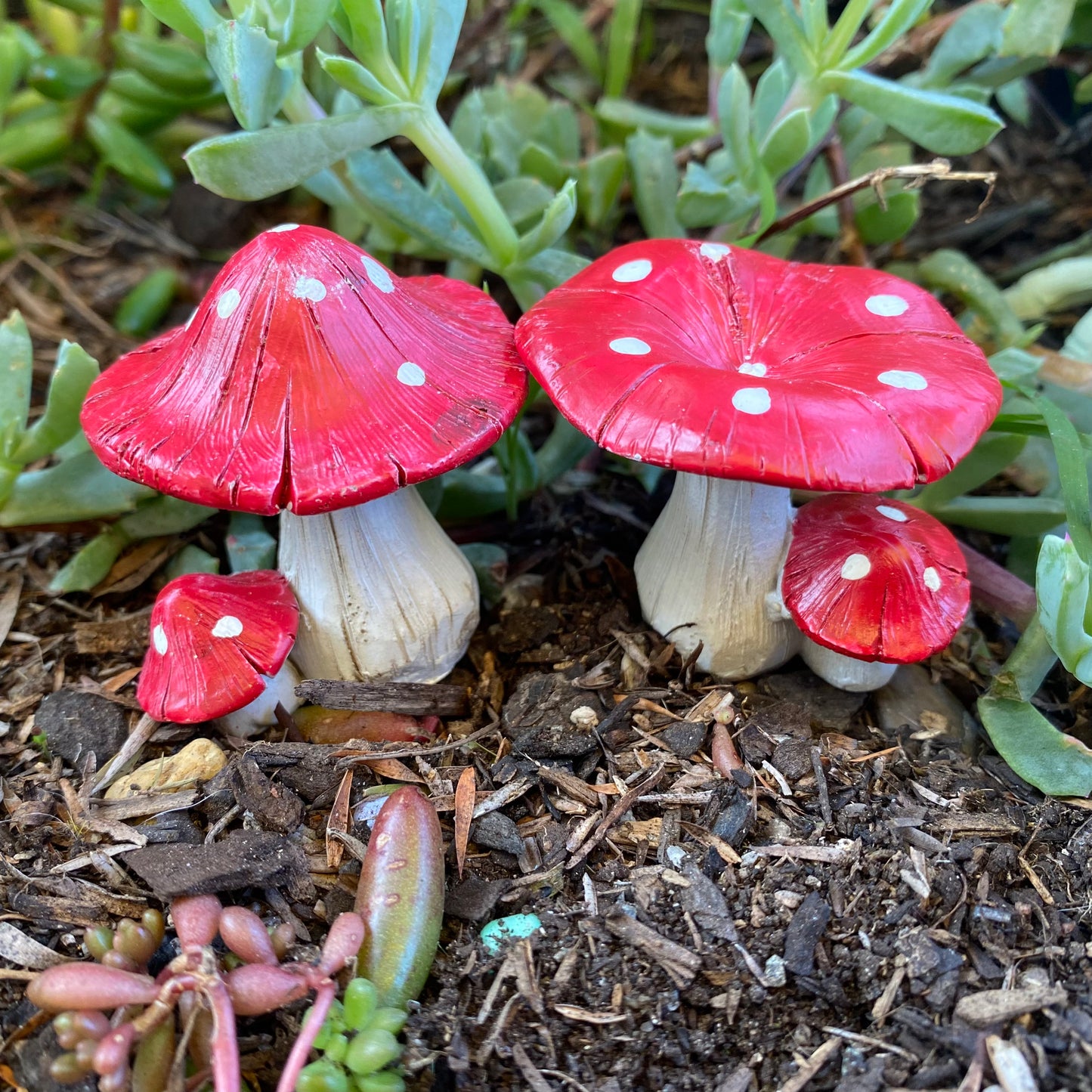 Red & White Twin Mushrooms