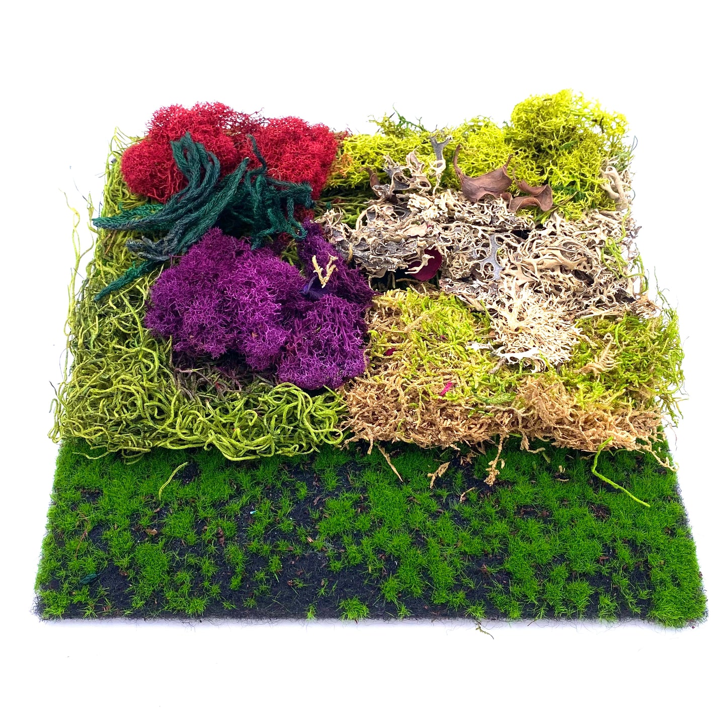 Moss Pack Fairy (Fairy Garden Product)