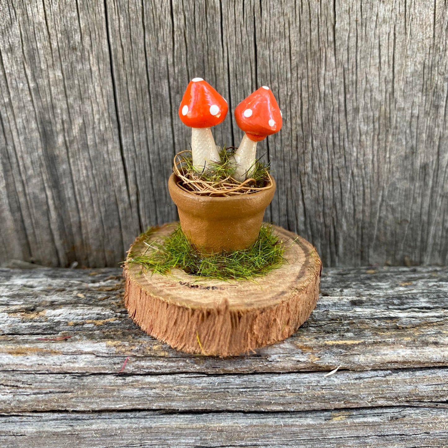 Fairy Garden Miniature Pot And Mushrooms