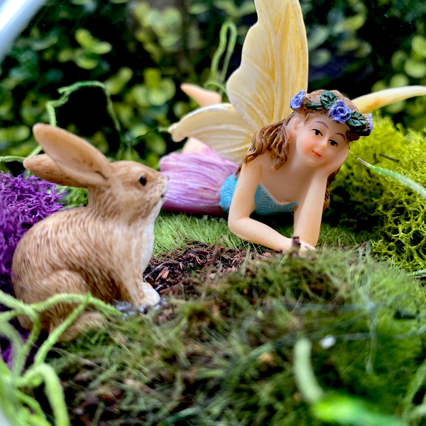 Jasmine Fairy With Bunny Terrarium
