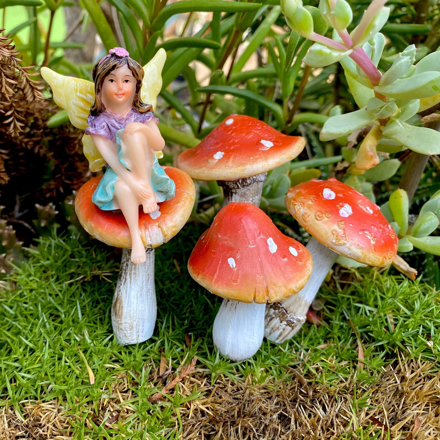 Fairy Garden Amanita Mushrooms