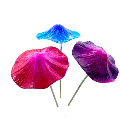 Umbrella Mushroom Fairy Pack(Large)